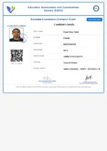 Remedial Examination Entrance Ticket RQE01646118