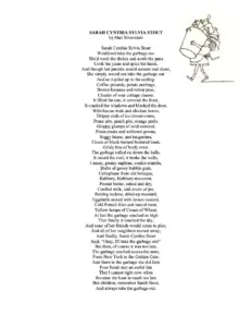 Sarah Cynthia Sylvia Stout – Shel Silverstein