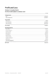 Shekion Computer World Profit and Loss Statement – October 2025
