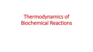 Thermodynamics of Biochemical Reactions