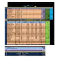 Wekeza Family Financial Overview 2025-2026