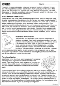 Fossils Article