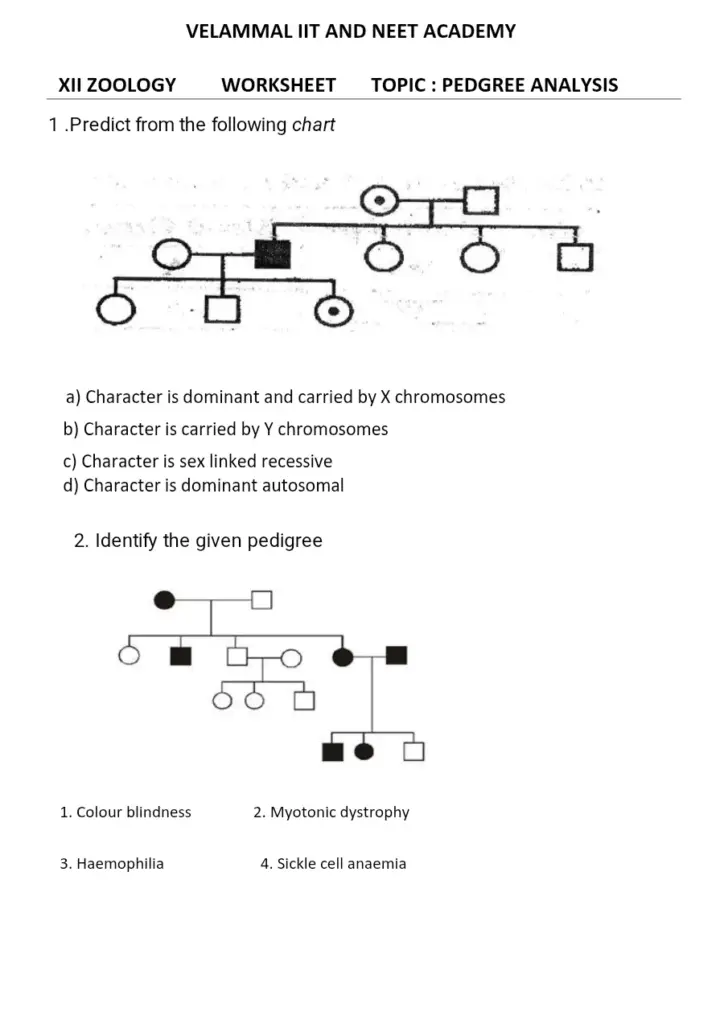 Genetic Pedigree Analysis Worksheet for Grade 12