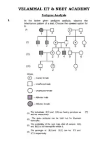 Upload Genetic Pedigree Analysis for Grade 12 Biology