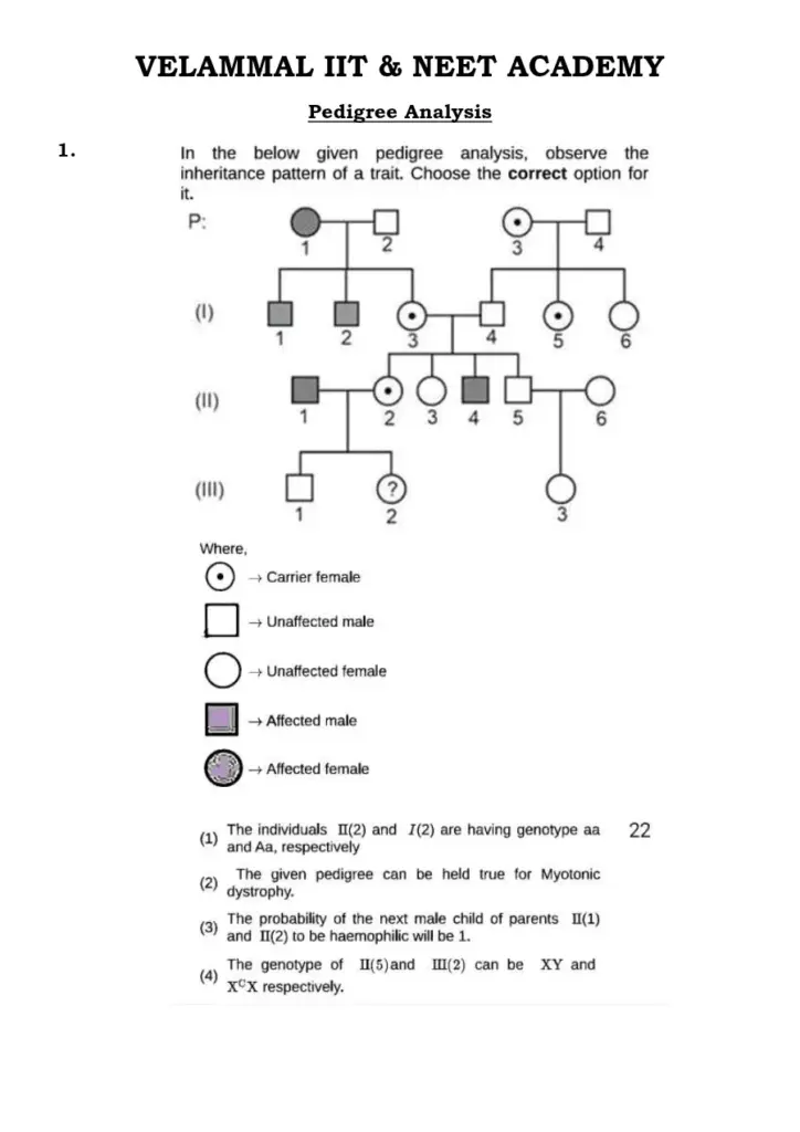 Genetic Pedigree Analysis for Grade 12 Biology