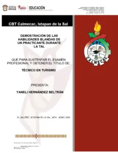 Memoria de Trabajo Profesional en Turismo (2)
