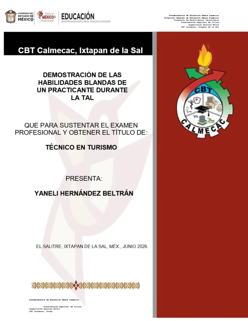 Memoria de Trabajo Profesional en Turismo (2)