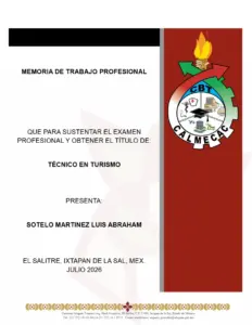 Memoria de Trabajo Profesional en Turismo