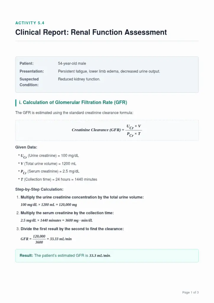 Renal Function Assessment - Activity 5.4