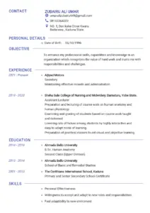 Zubairu Ali Umar CV – Professional Profile 2021