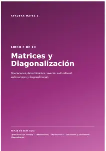 Aprobar Mates 1 Libro 05 Matrices Y Diagonalizacion