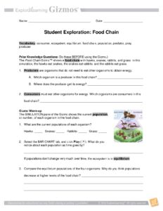 Food Chain Dynamics and Population Effects: Gizmo