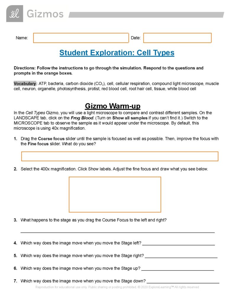 Gizmos Student Exploration: Cell Types