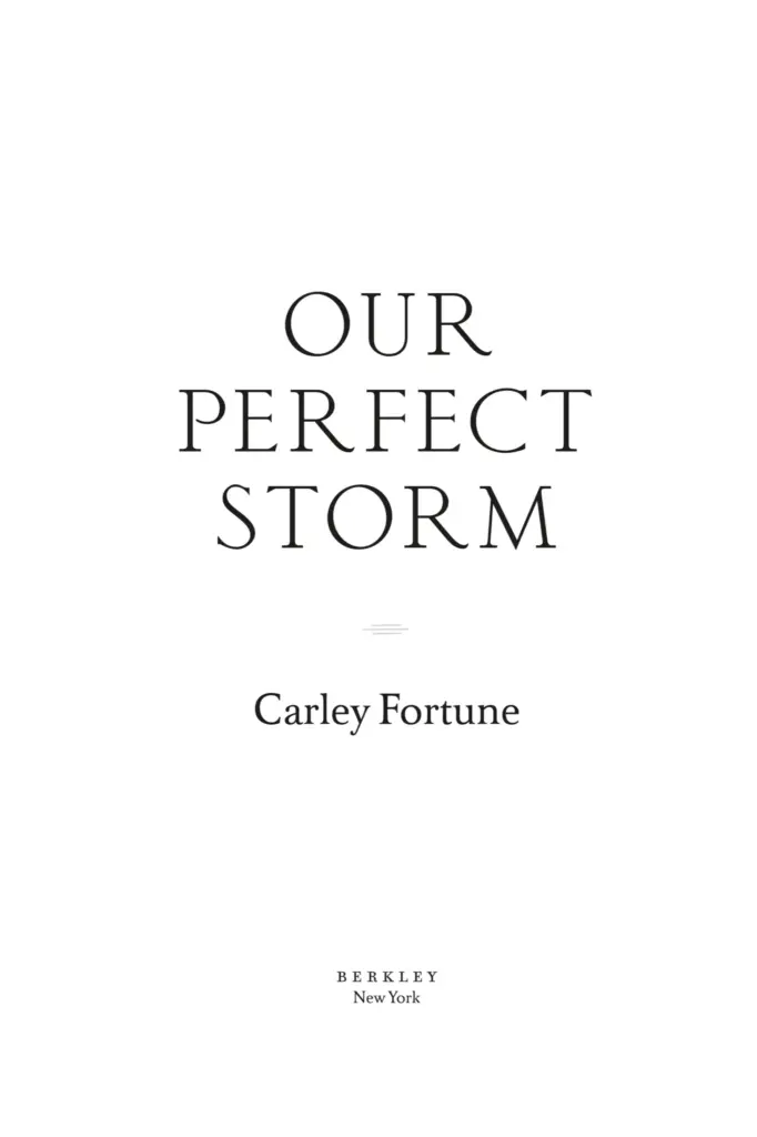 Our Perfect Storm by Carley Fortune — Figure 1
