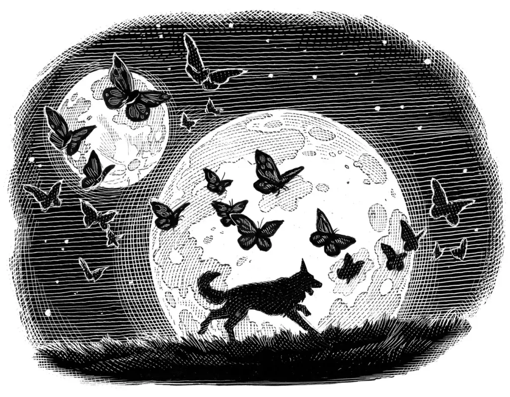 Fairy Tale by Stephen King — The Playing Field. Ammit. Washing Up. Cake. The