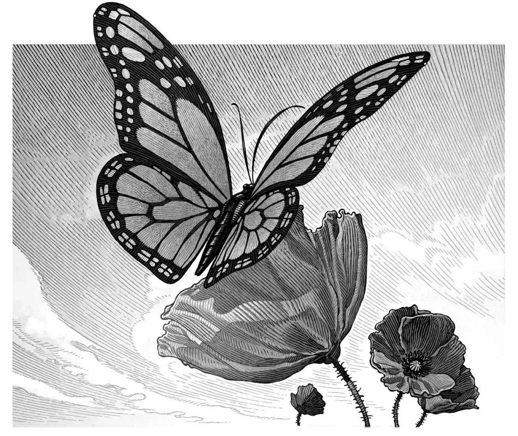 Fairy Tale by Stephen King — Questions Asked and Answered (Some, at Least). A