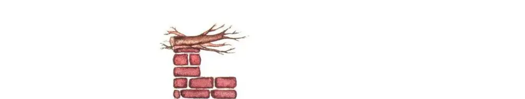 The True Story Of The Three Little Pigs — Figure 4