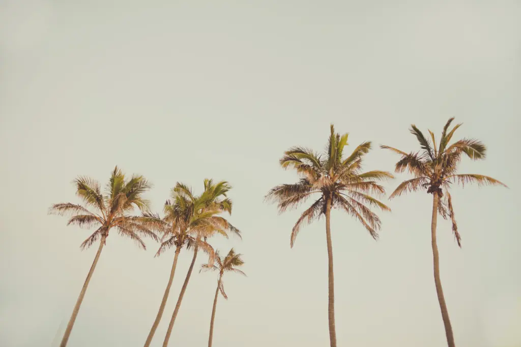 Becoming Shola: A Collection of Thoughts by Shola — Chapter 11