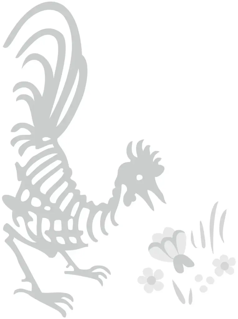 SANGU MANDANNA